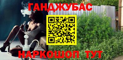 гидра Краснознаменск