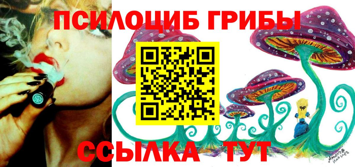 Псилоцибиновые грибы мицелий Когалым